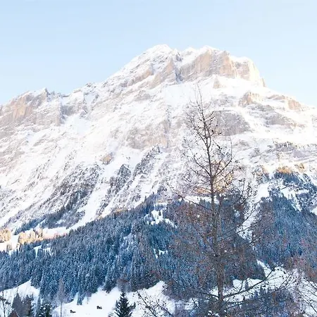 Bernerhof Grindelwald