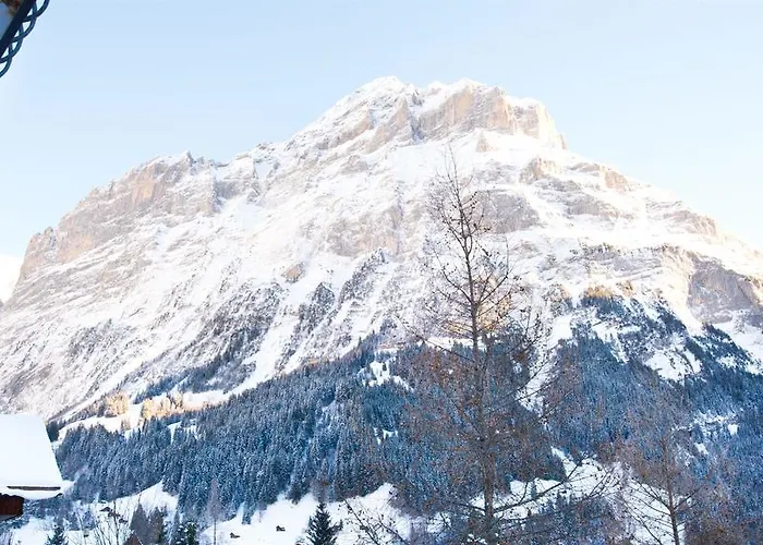 Bernerhof Grindelwald
